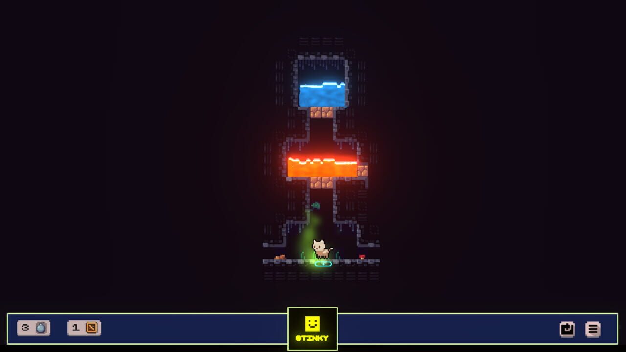 How to Bathe Your Cat