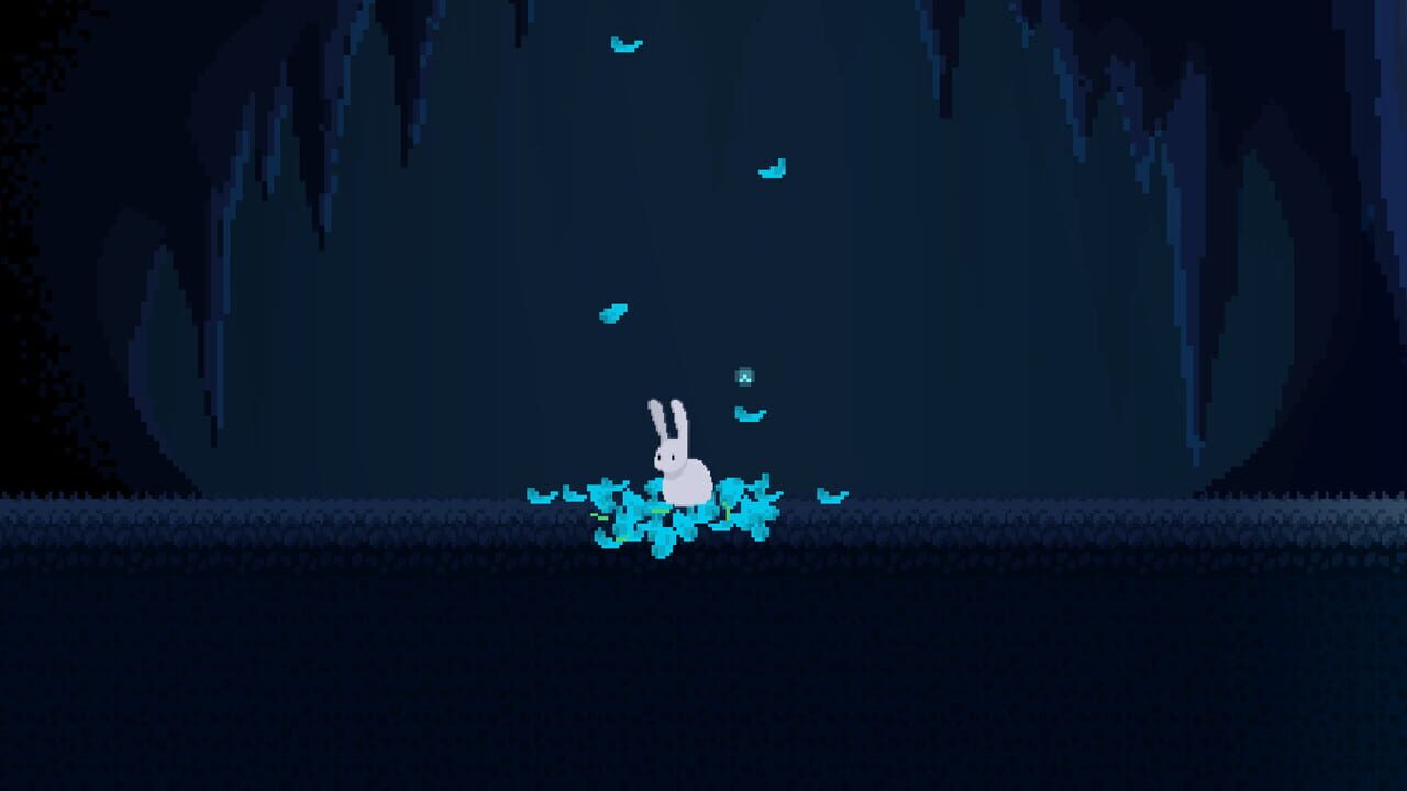 Bunny Hop
