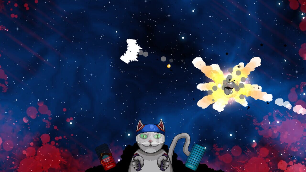 Cosmic Cat