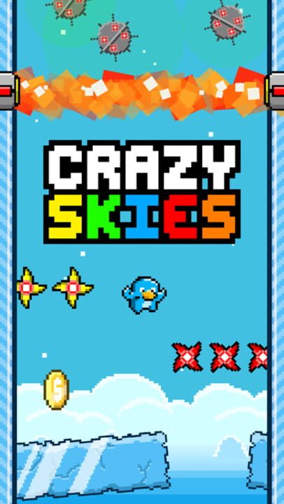 Crazy Skies: Endless Arcade Flyer