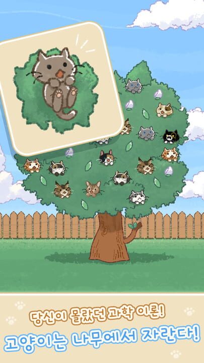 Cat Flower Tree