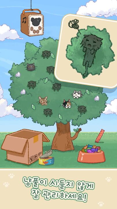 Cat Flower Tree