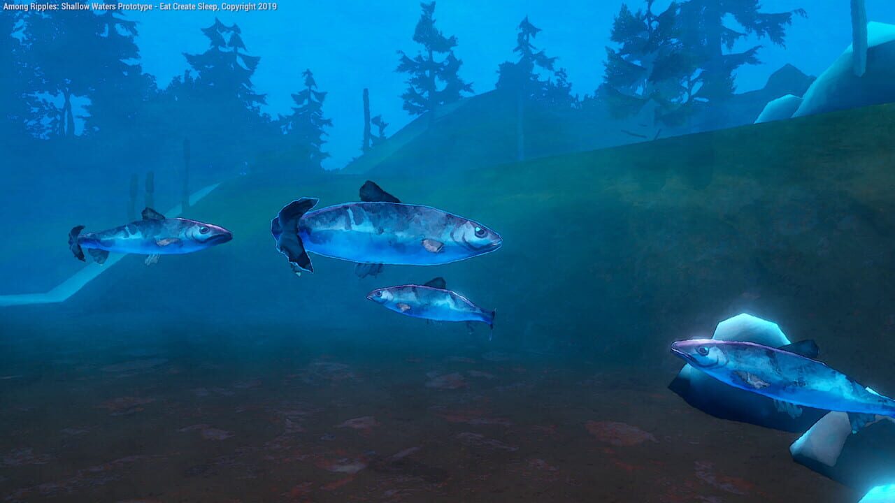 Among Ripples: Shallow Waters