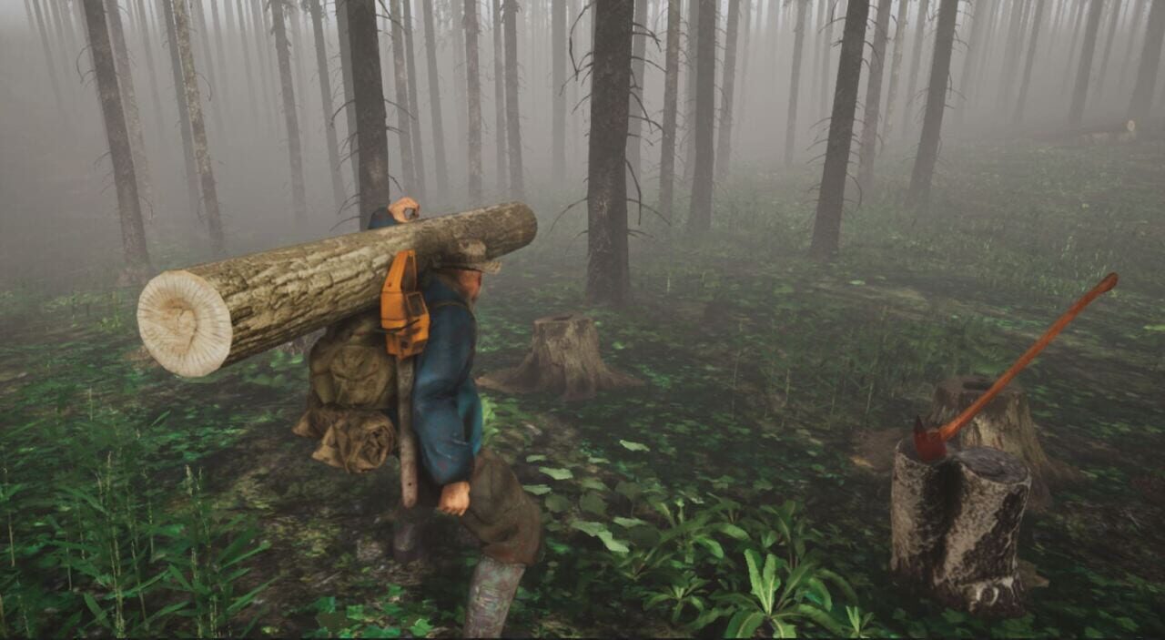 Inhabitants of The Fir Forest