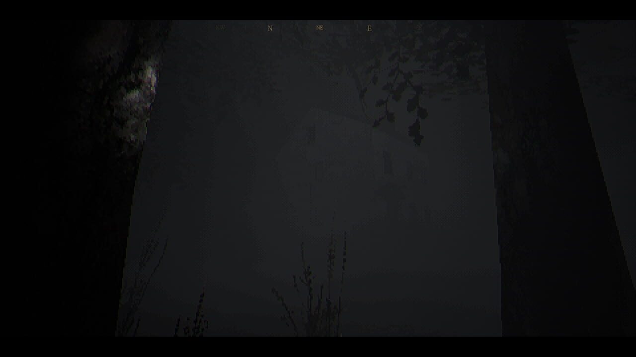 The House in the Woods