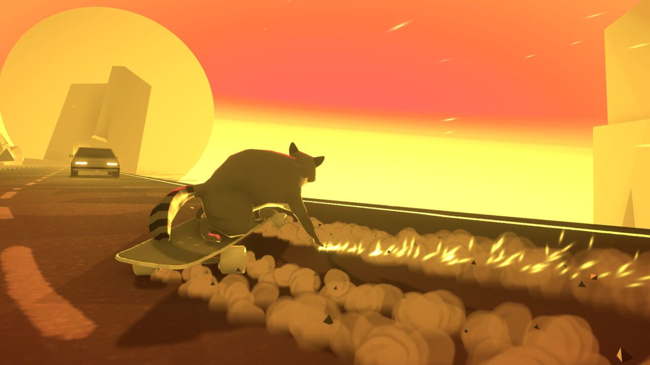 Tanuki Sunset Classic