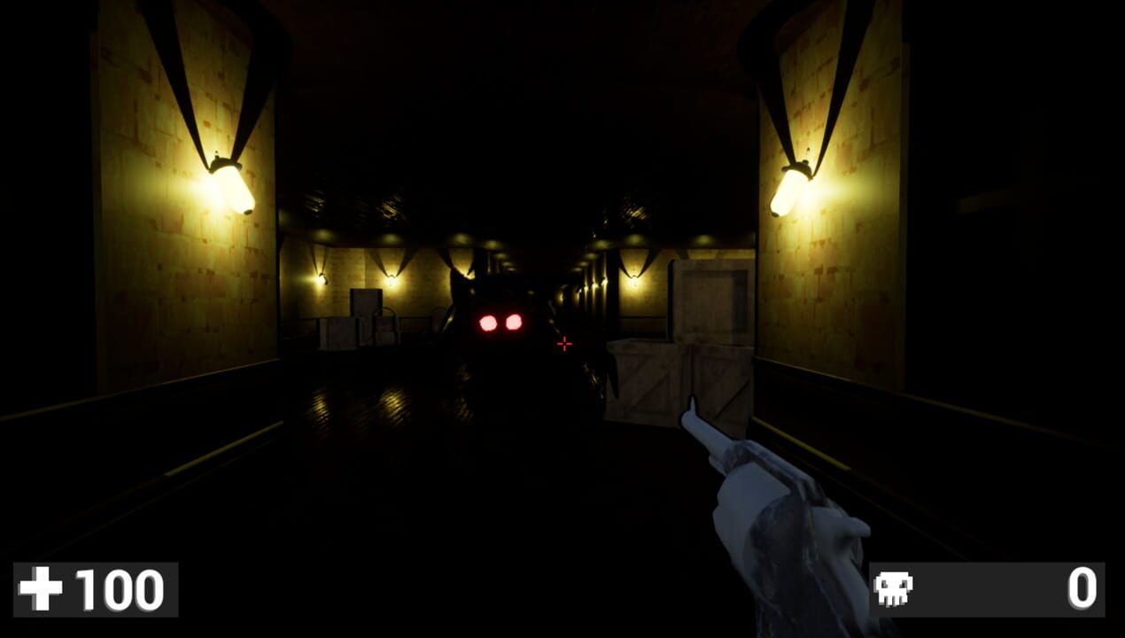 Shadow Asylum