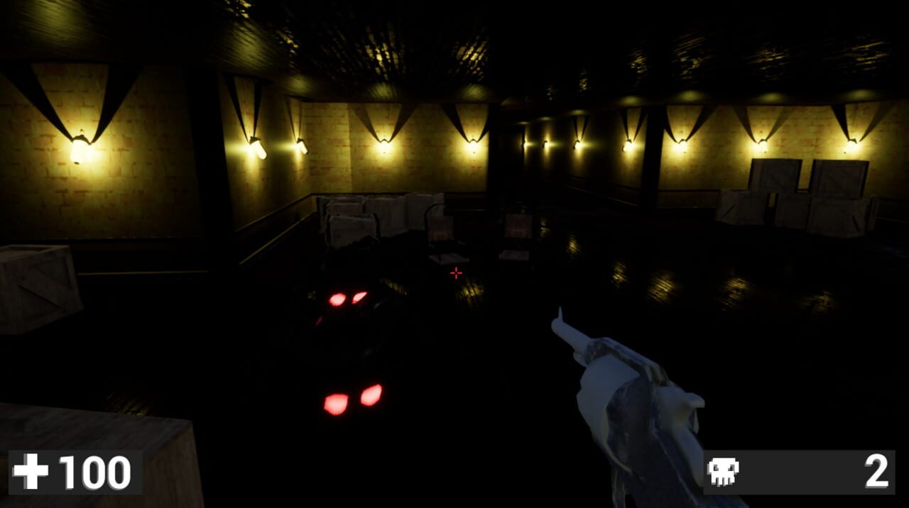 Shadow Asylum