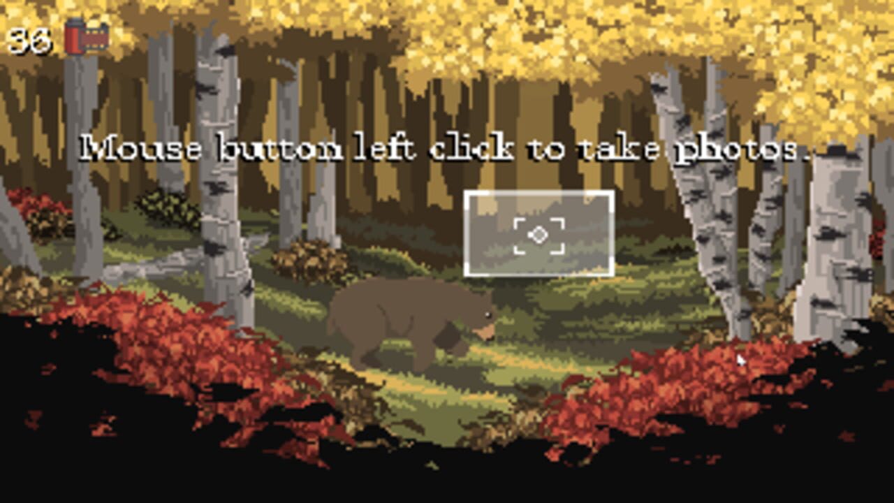 Where’s My Tripod?