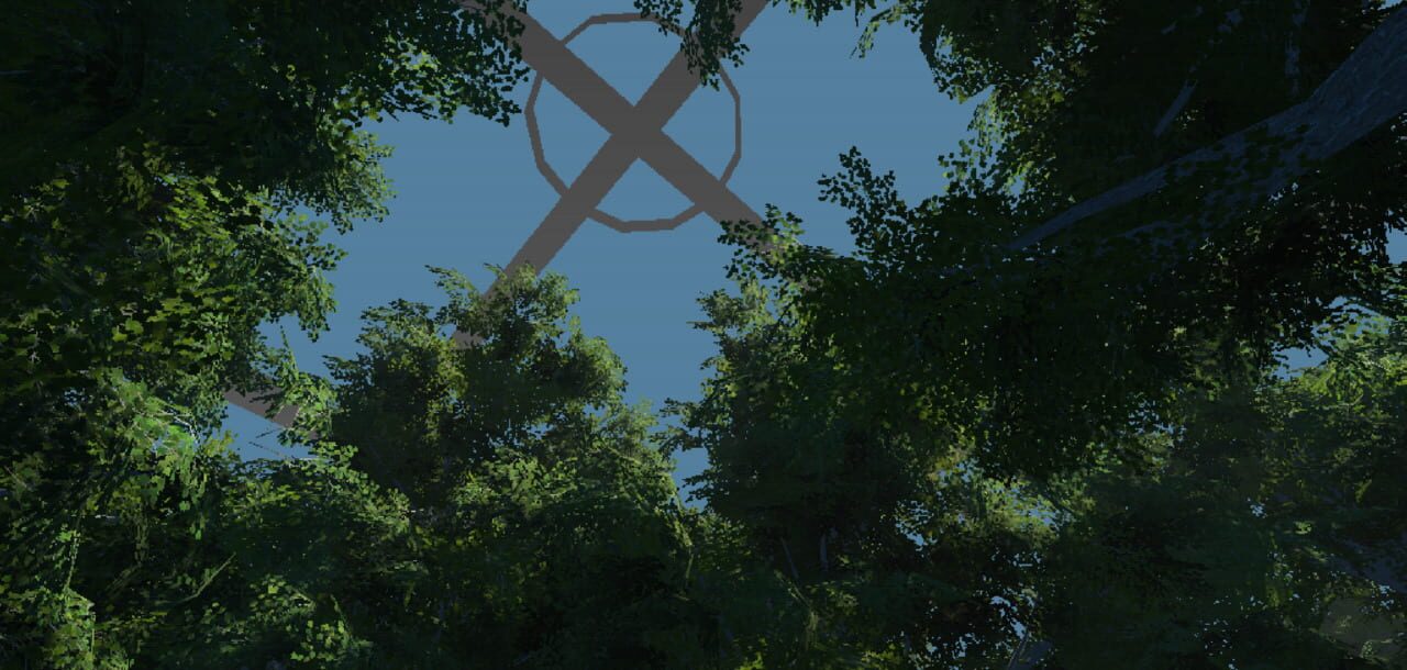 Dimensional Wanderer