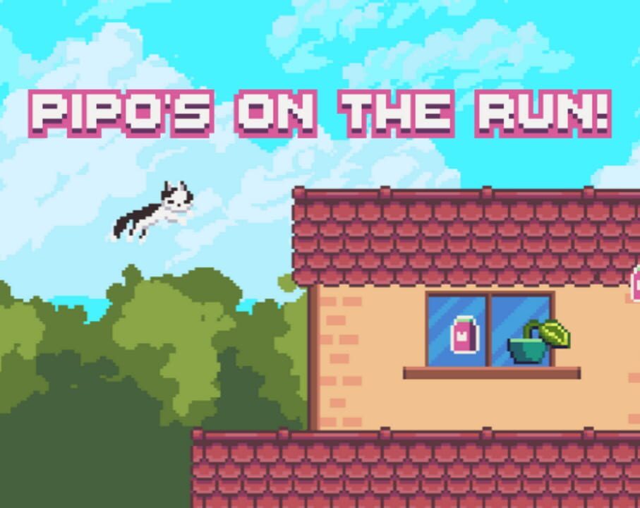 Pipo’s on the Run
