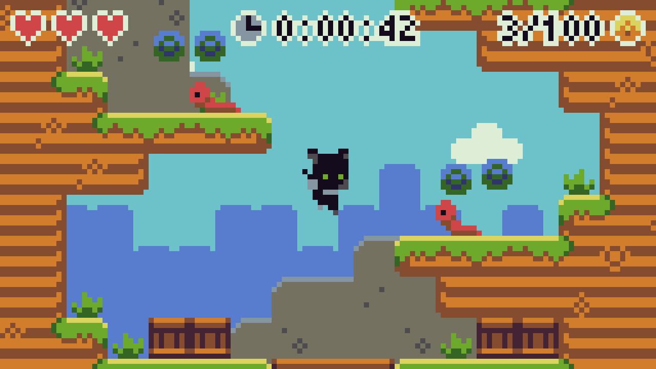 Cats and Coins