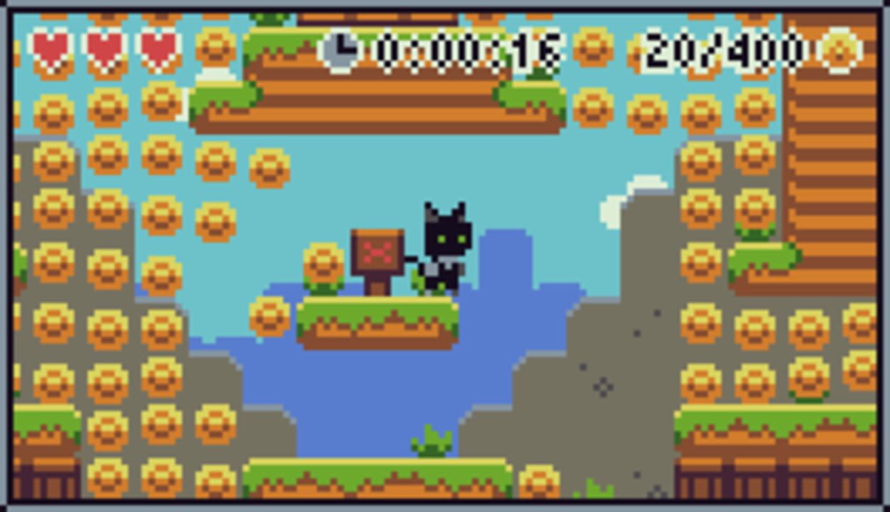 Cats and Coins