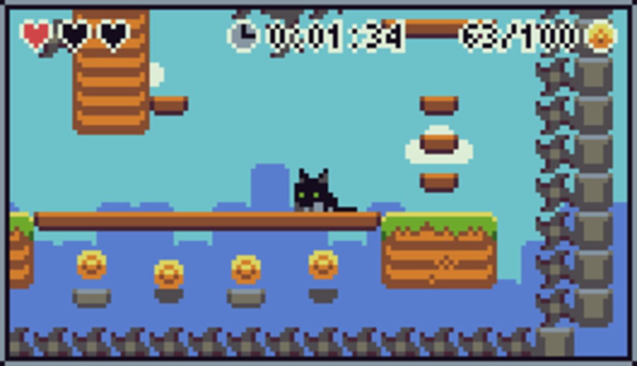 Cats and Coins