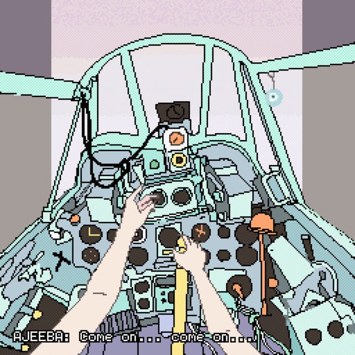 Restricted Airspace