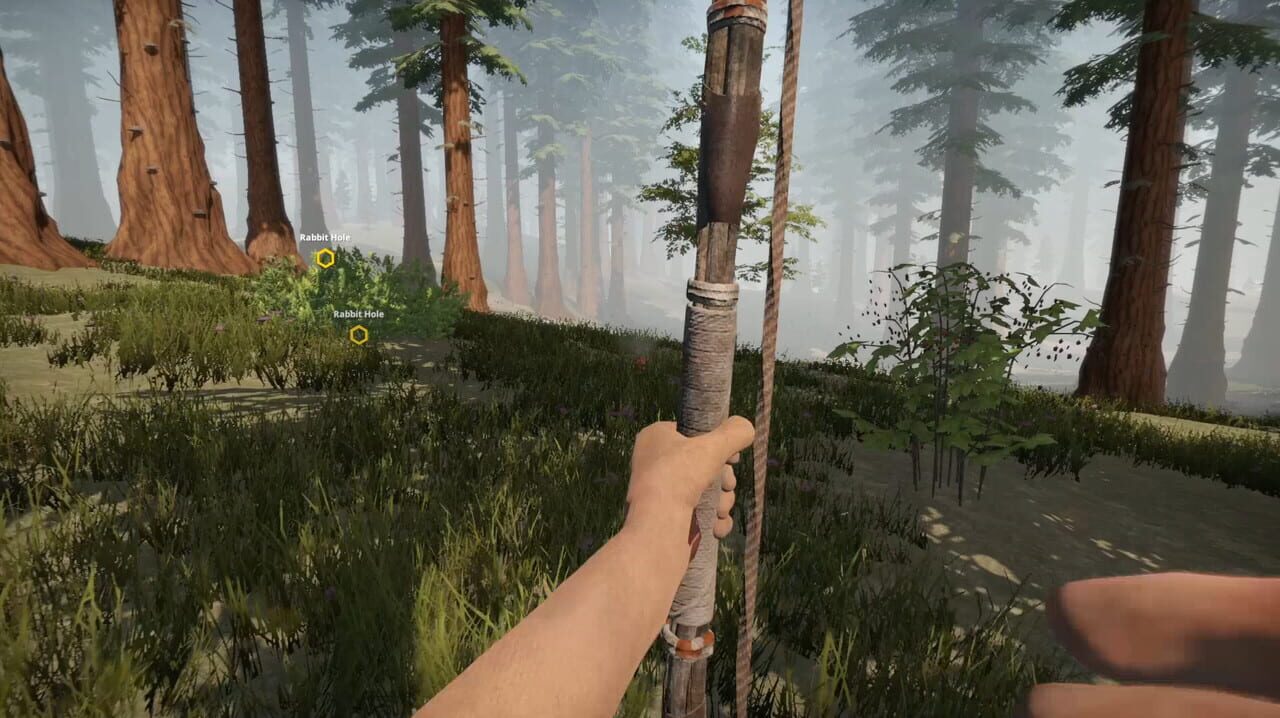 Missing Plane: Survival
