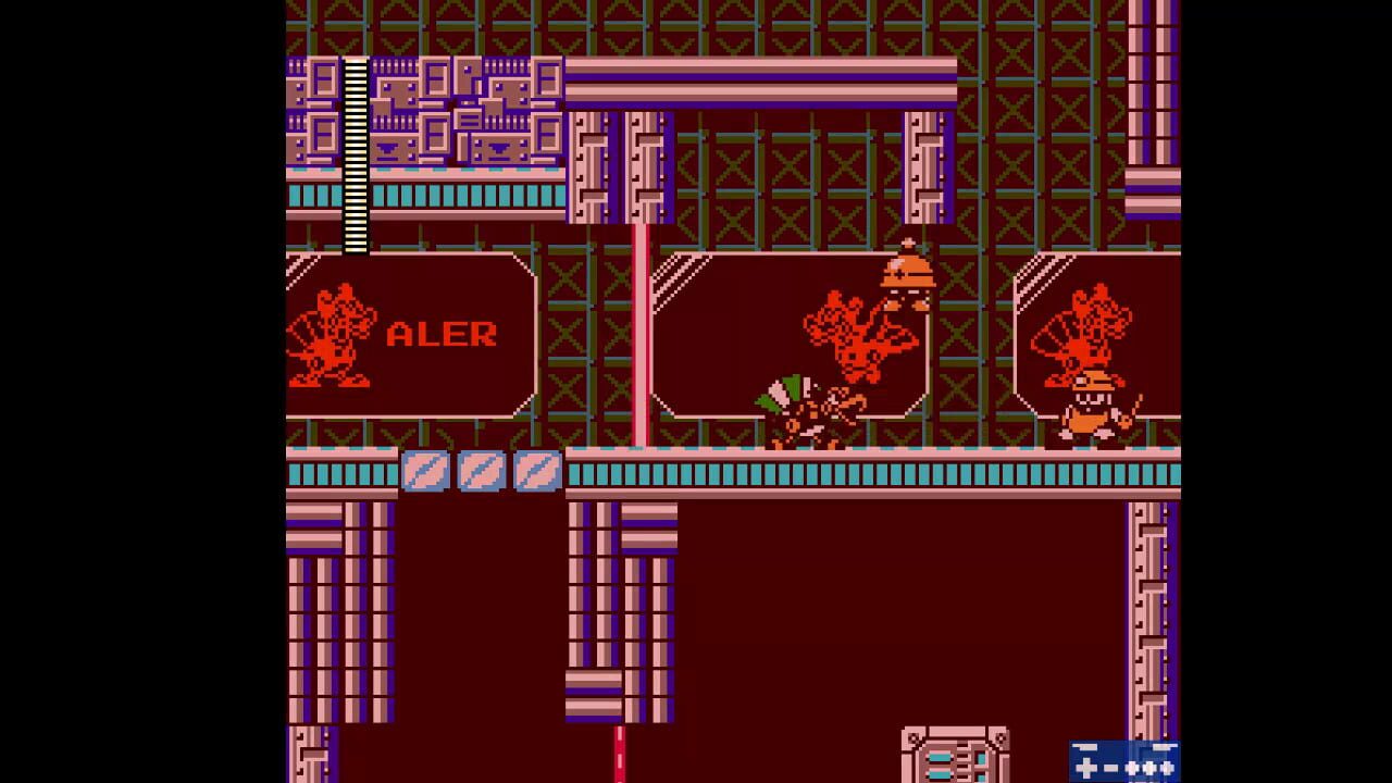 The Reggae Operation