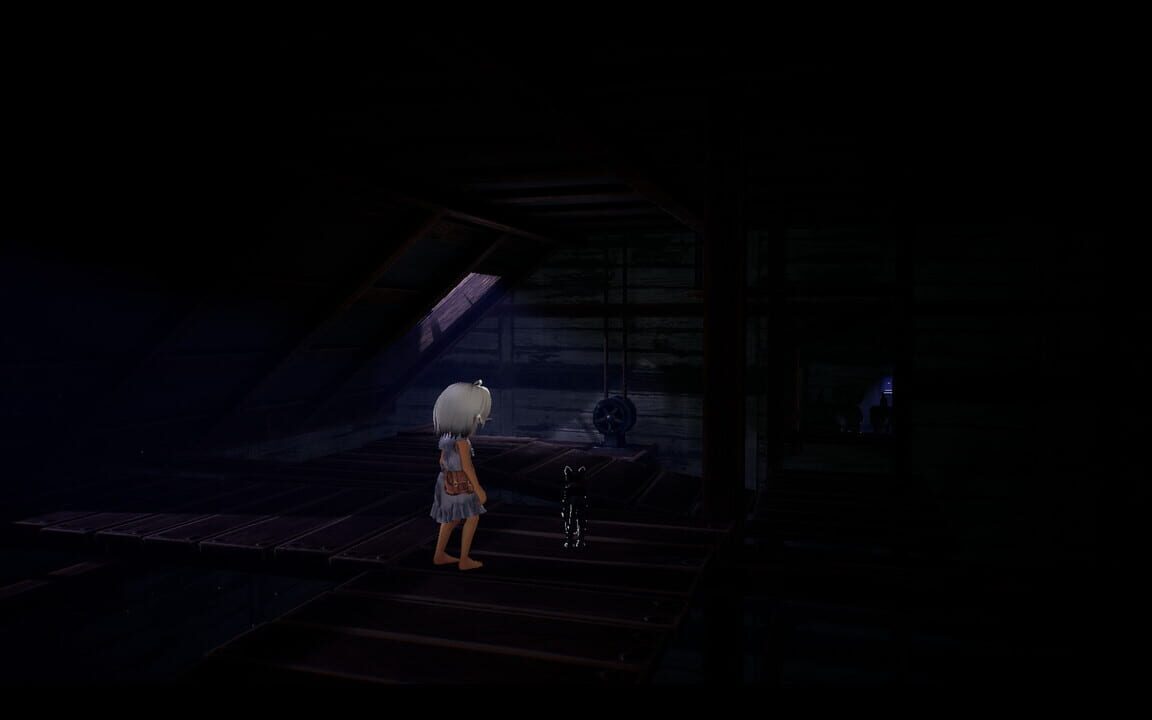 Light: Black Cat & Amnesia Girl