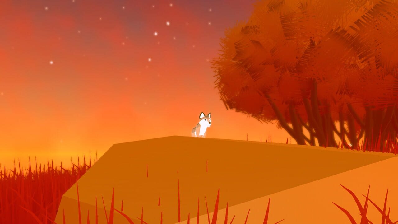 Spirit Wolves