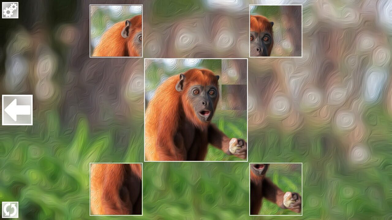 Puzzle Art: Primates
