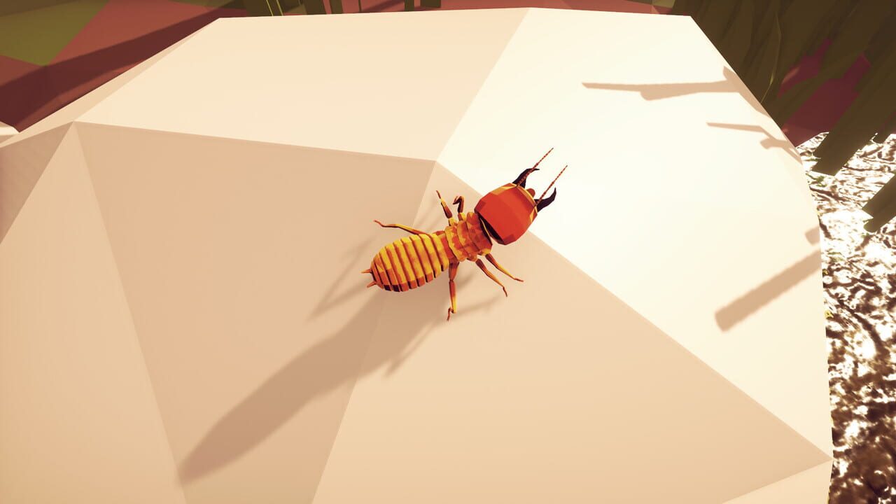 For the Hive