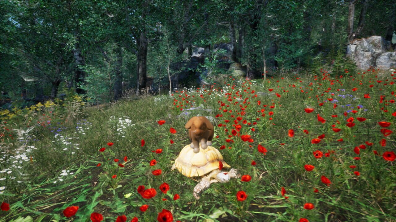 Rabbit Meadow