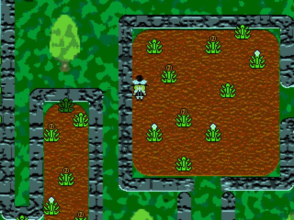 Marisa’s Inconceivable Journey