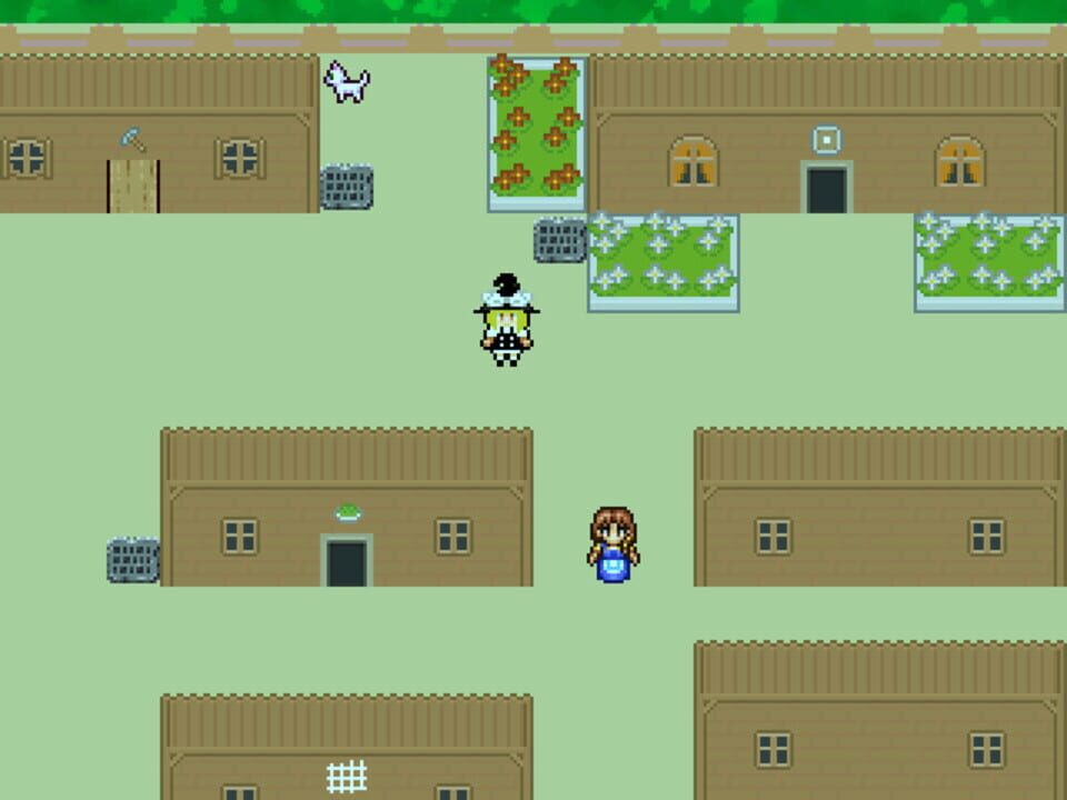 Marisa’s Inconceivable Journey