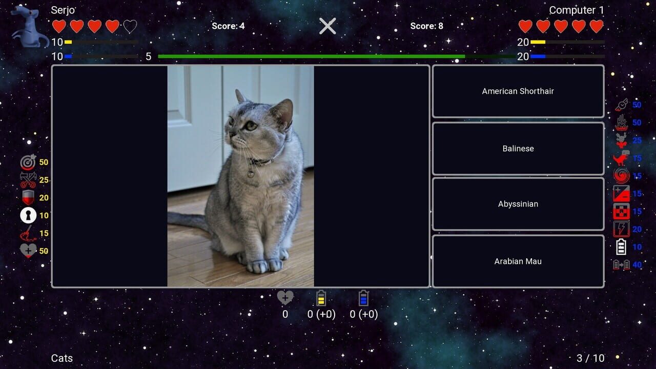 I’ve Seen Everything: Cats