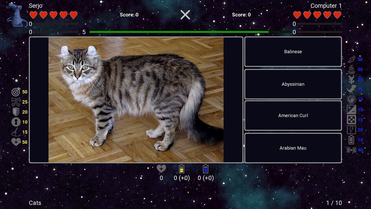 I’ve Seen Everything: Cats