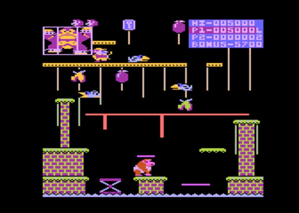 Donkey Kong Junior