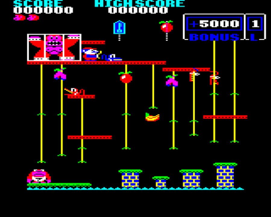 Donkey Kong Junior