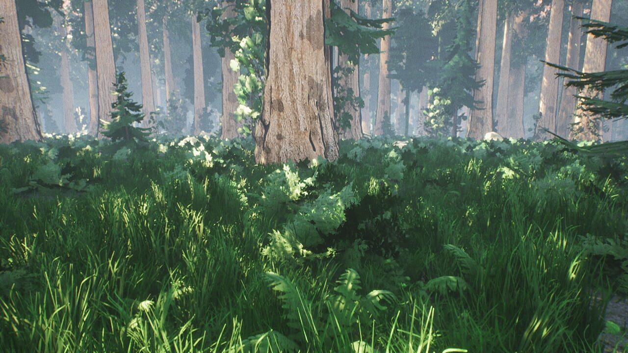 Xio: Survival