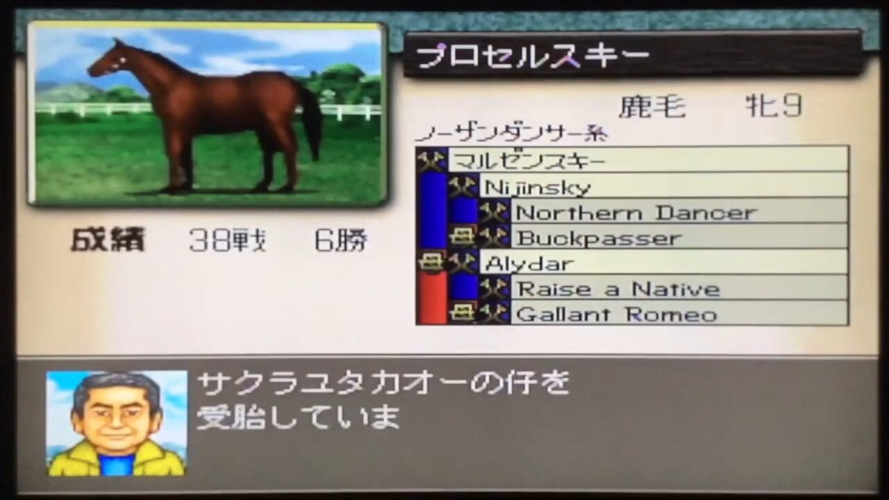 Derby Stallion 64