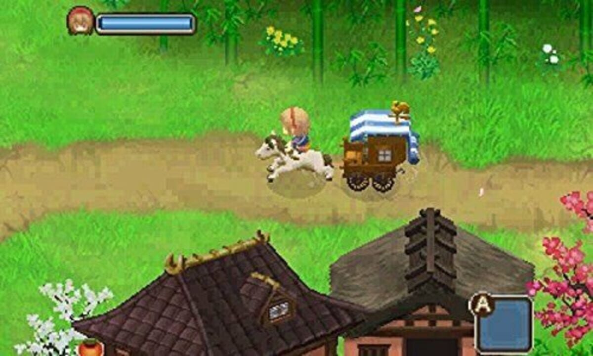 Bokujou Monogatari: Futago no Mura+