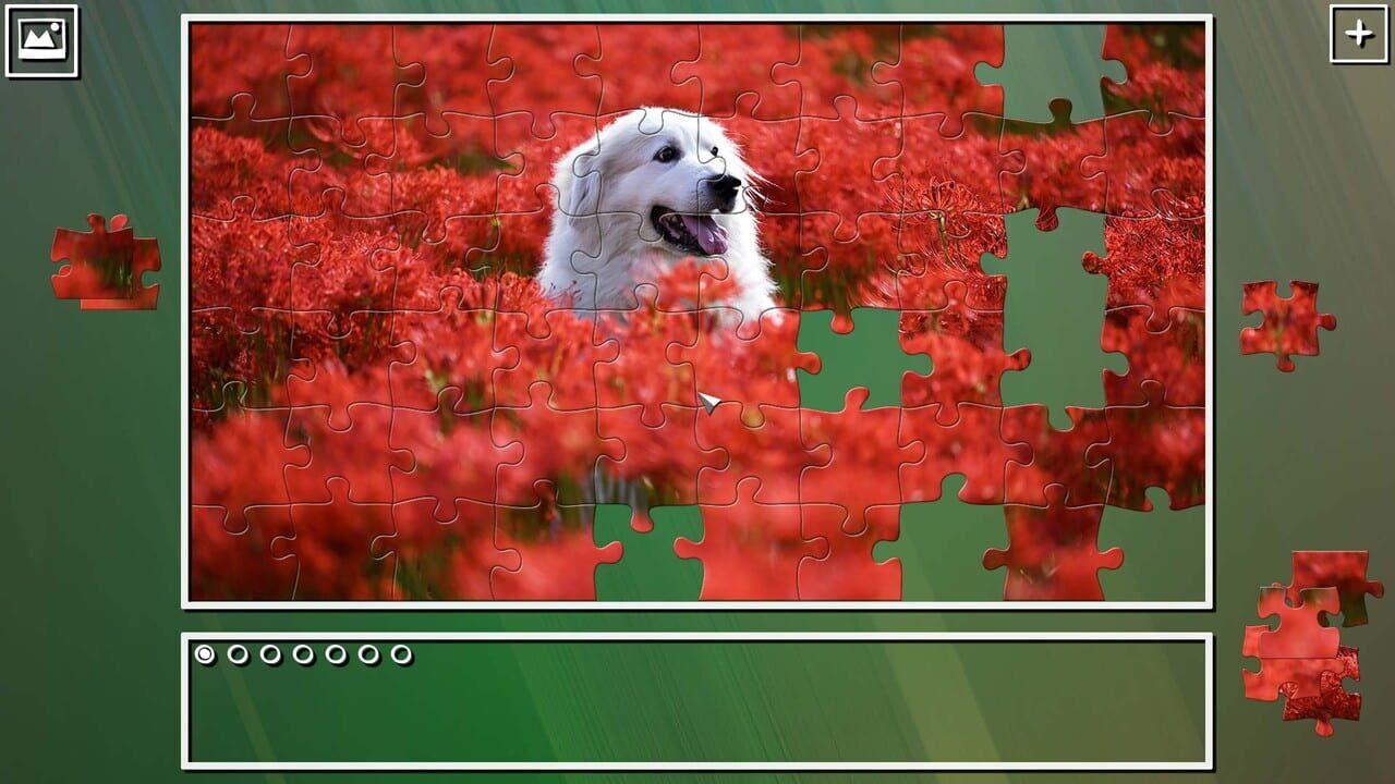 Super Jigsaw Puzzle: Generations – Random Puzzles 4