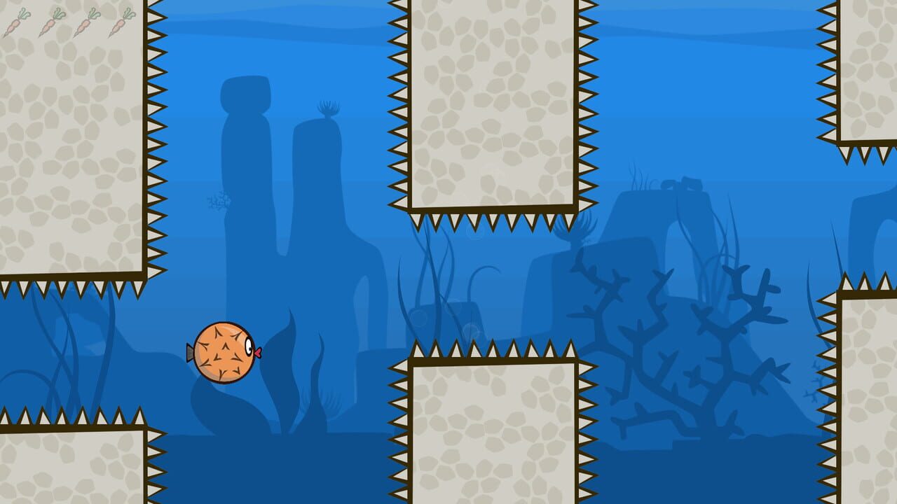 Blow Fish Music Quiz