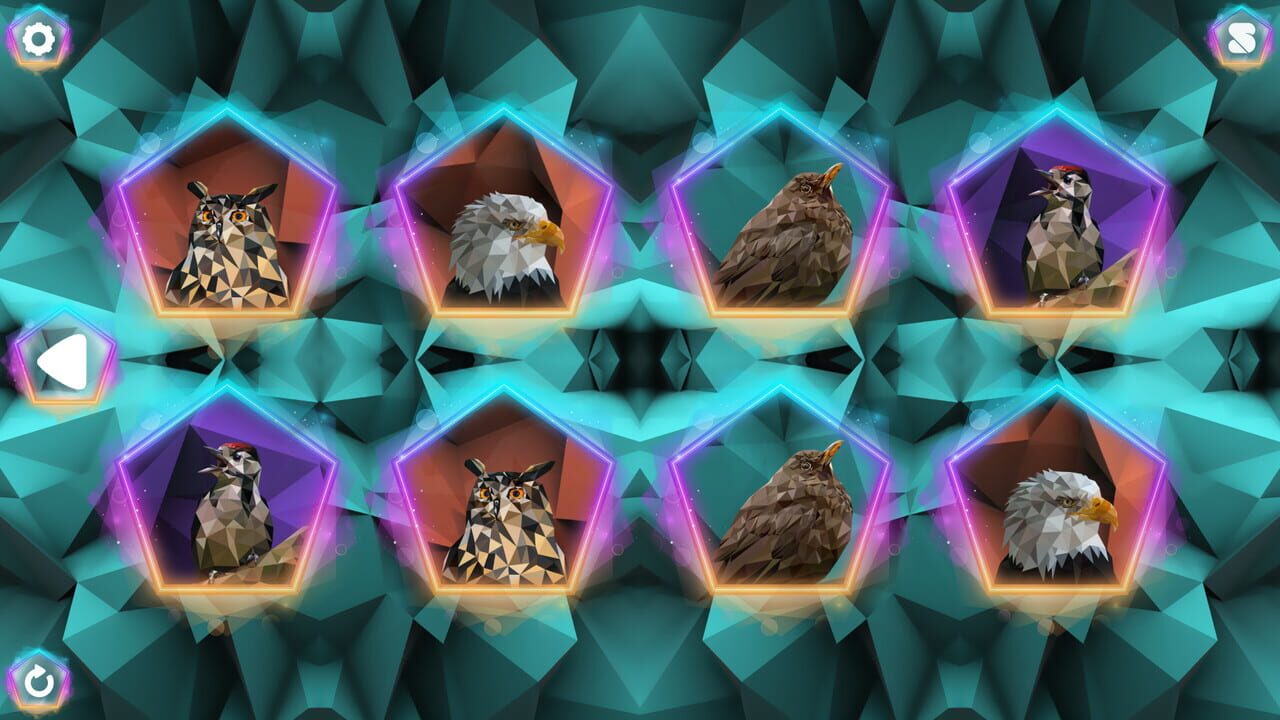 Poly Memory: Birds