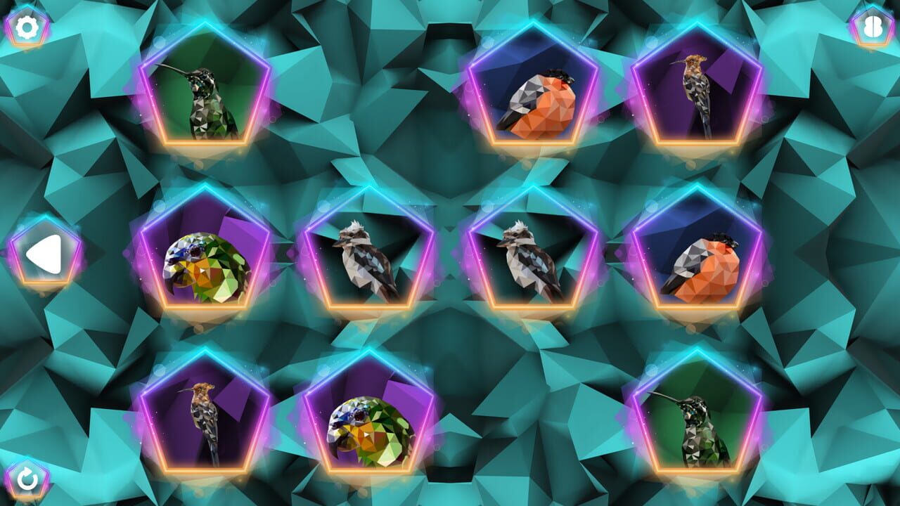 Poly Memory: Birds