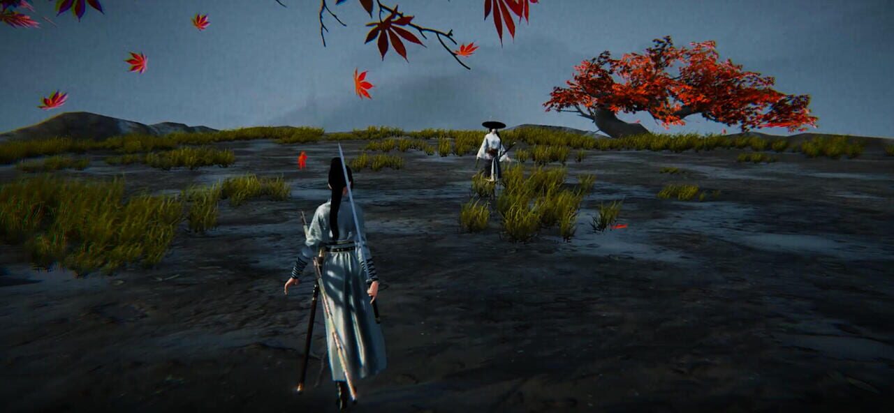 Duel of Sword