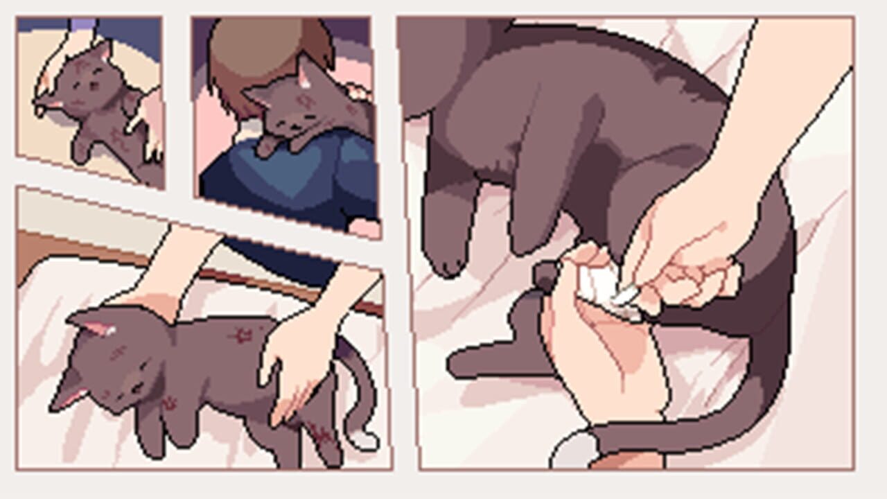 I Got a Millenary Cat