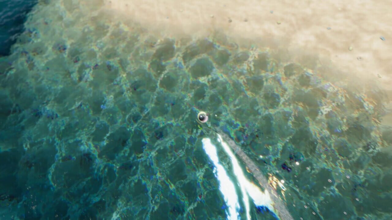 The Ball Flow: Nature and Light