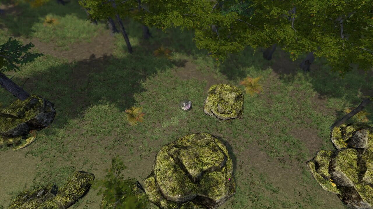 The Ball Flow: Nature and Light