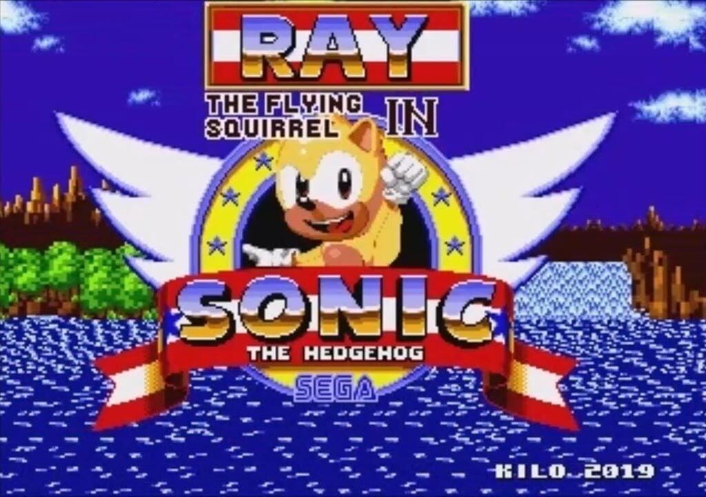 Ray the Flying Squirrel in Sonic the Hedgehog