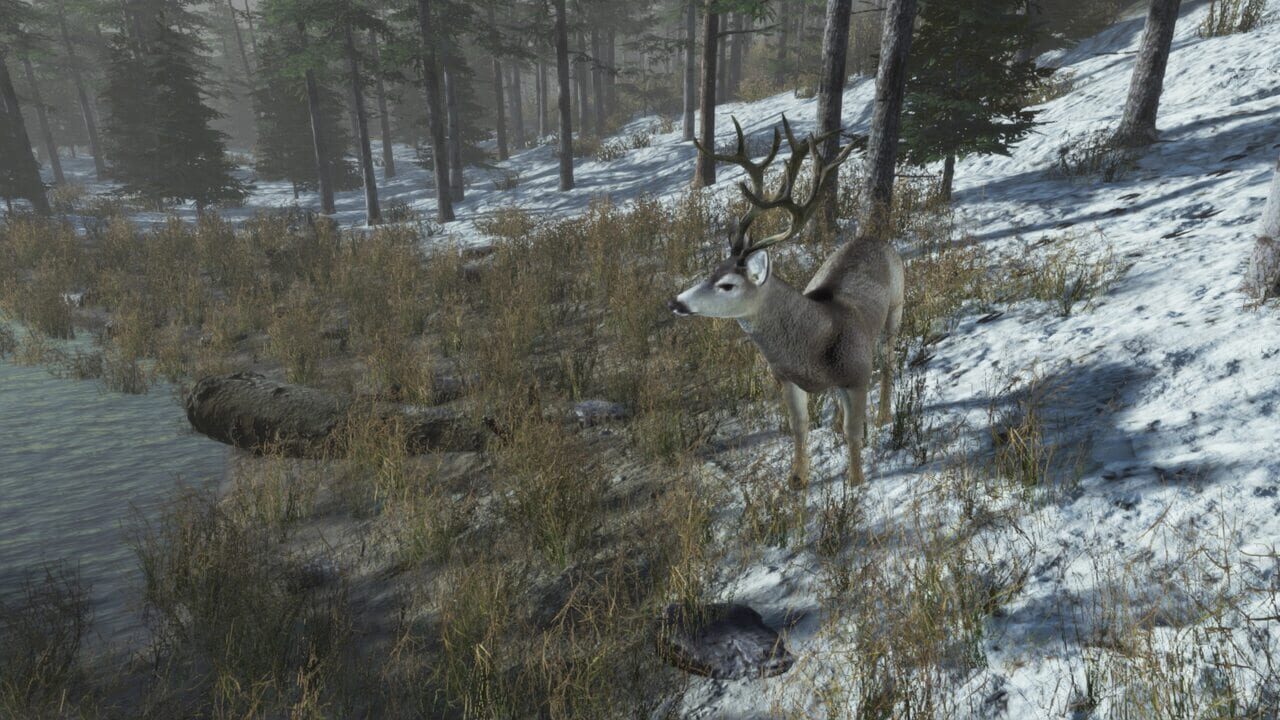 Pro Deer Hunting: Out West