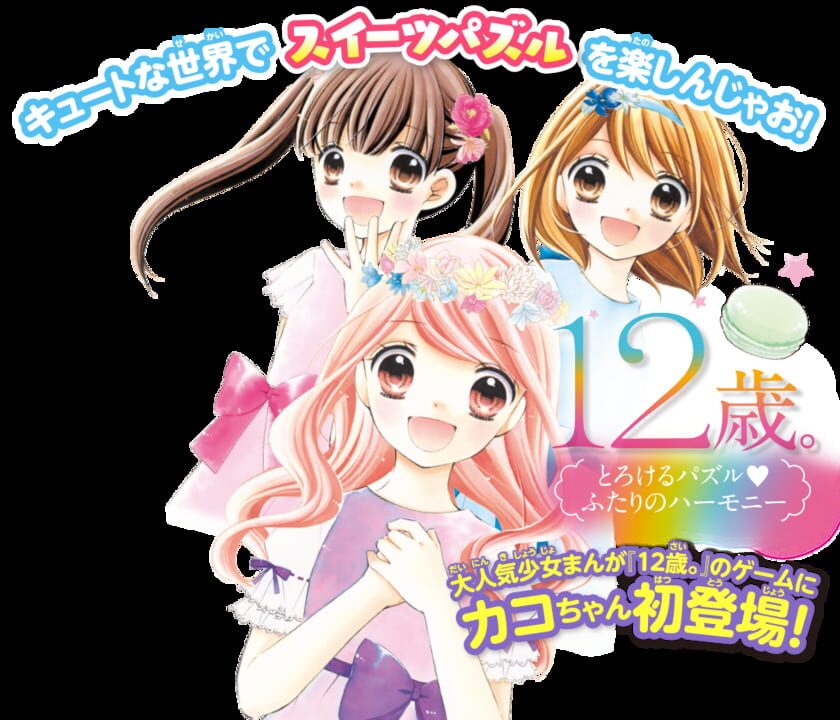 12-Sai: Torokeru Puzzle Futari no Harmony