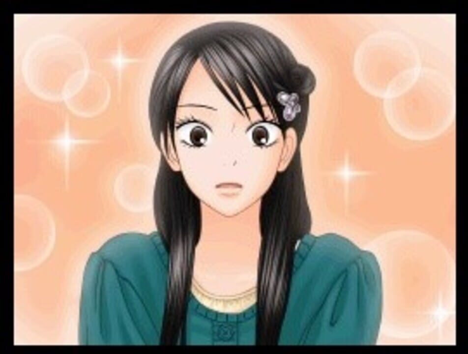 Kimi ni Todoke Special