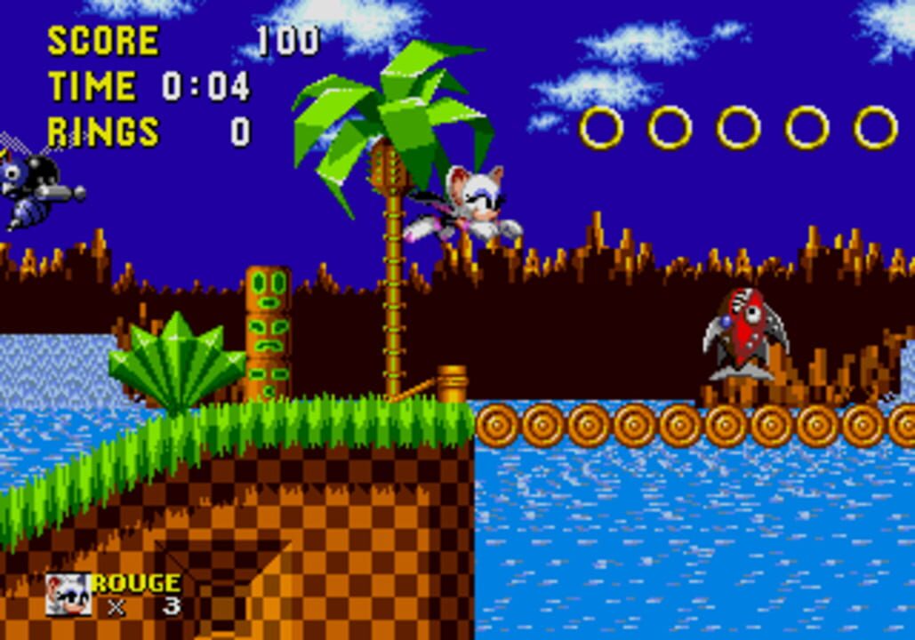 Rouge the Bat in Sonic the Hedgehog