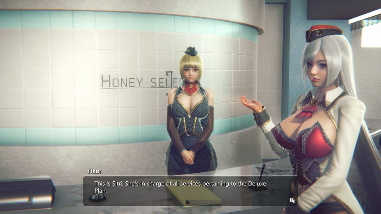 Honey Select 2: Libido DX