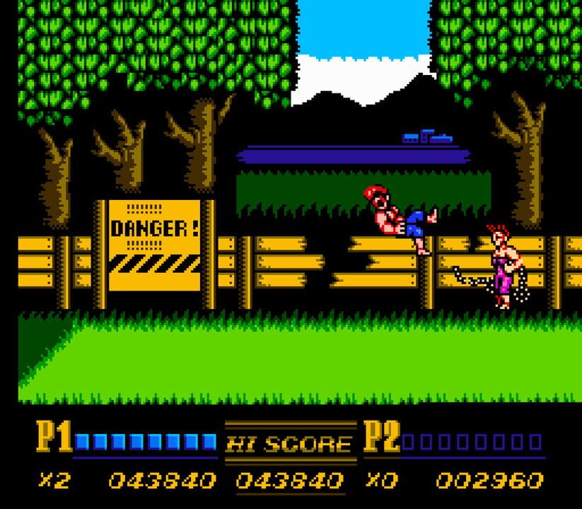 Double Dragon II: The Revenge
